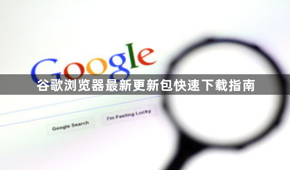 谷歌浏览器最新更新包快速下载指南1