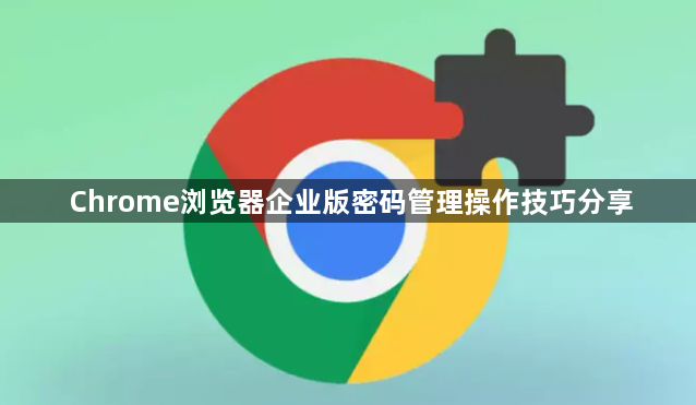 Chrome浏览器企业版密码管理操作技巧分享1