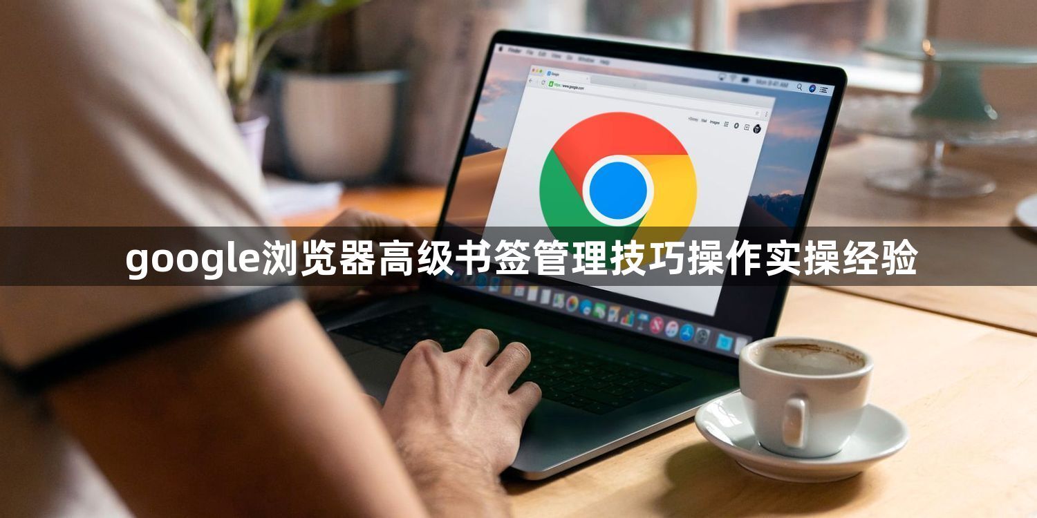 google浏览器高级书签管理技巧操作实操经验1