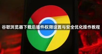 谷歌浏览器下载后插件权限设置与安全优化操作教程1