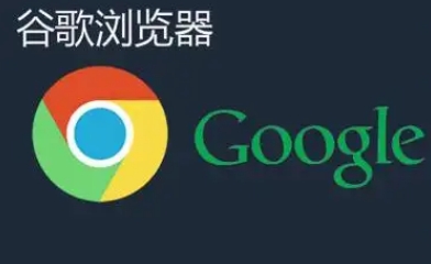 Chrome浏览器下载后插件功能分类管理操作方法