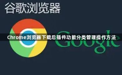 Chrome浏览器下载后插件功能分类管理操作方法1