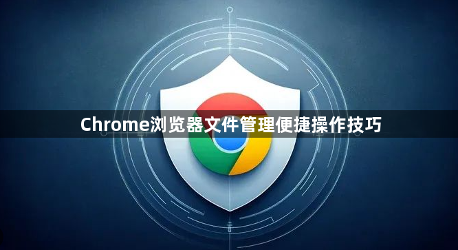 Chrome浏览器文件管理便捷操作技巧1